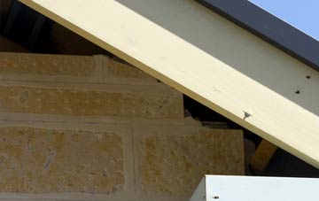 soffit repair Skillington